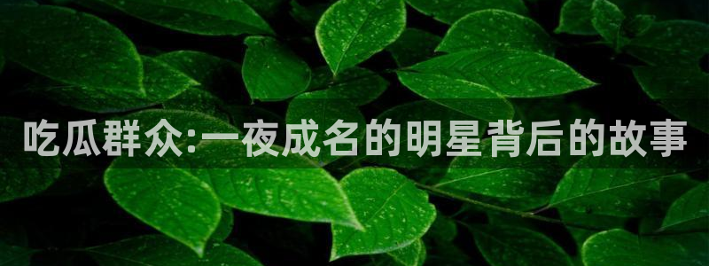 独家吃瓜后续进展