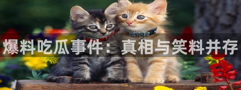 吃瓜爆料来源梳理