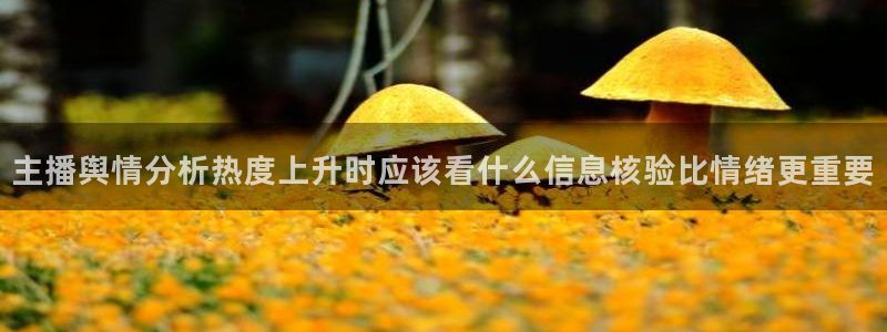 网络热点今日更新