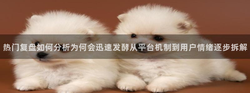 理性吃瓜今日更新