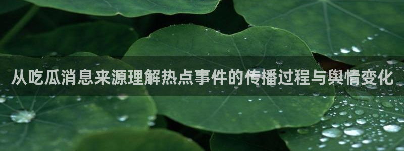独家吃瓜后续进展