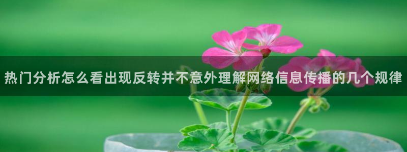 吃瓜真相完整时间线