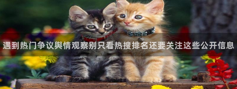 吃瓜信息核验
