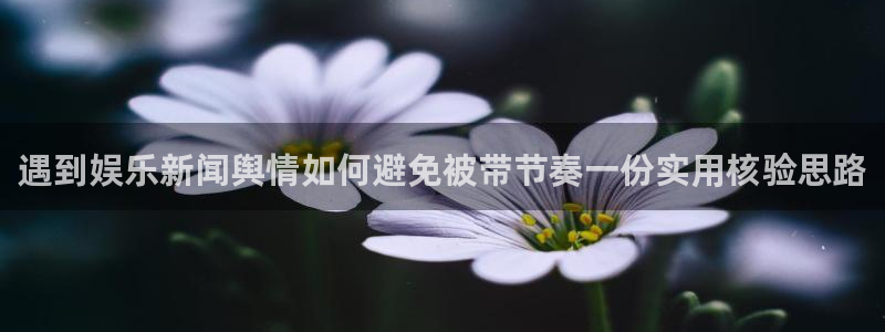 今日吃瓜