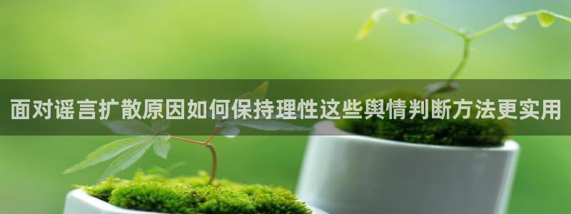 网红吃瓜事件始末