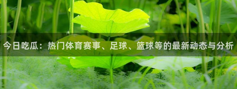 吃瓜热点汇总